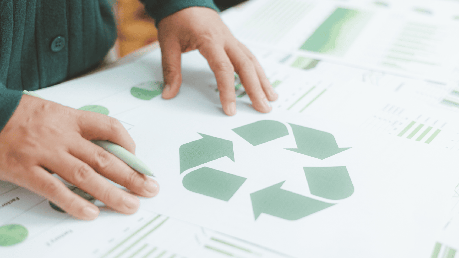 Intérieur d'un éco-entrepôt Ezytail avec rayonnages et organisation durable