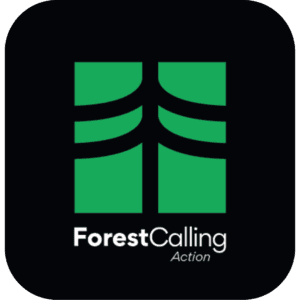 Forest Calling x Ezytail